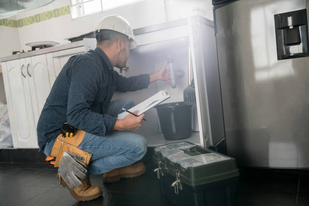 Best Plumbing Inspection Services  in Essex, IL