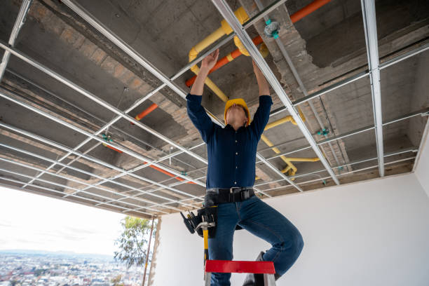 Best Emergency Plumbing Repair  in Essex, IL