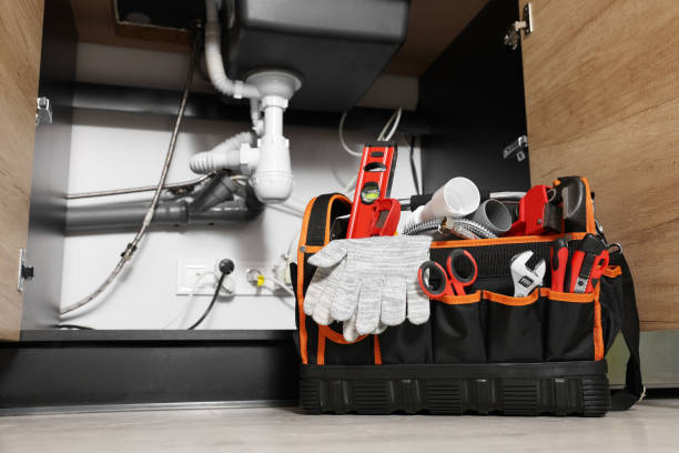 Best Clogged Drain Plumber  in Essex, IL