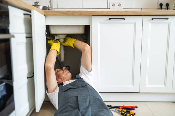 Best Clogged Drain Plumber  in Essex, IL