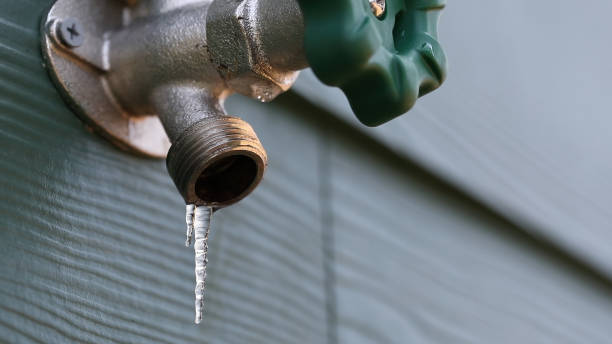 Reliable Essex, IL Plumbing Solutions