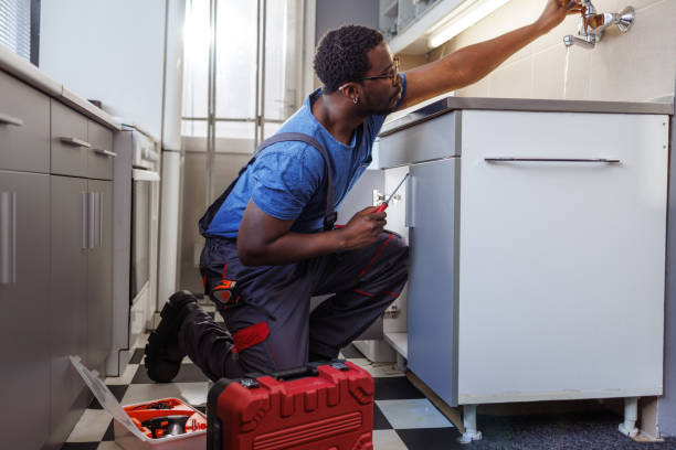 Best Local Plumber Services  in Essex, IL