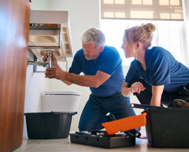 Best Same-Day Plumbing Service  in Essex, IL